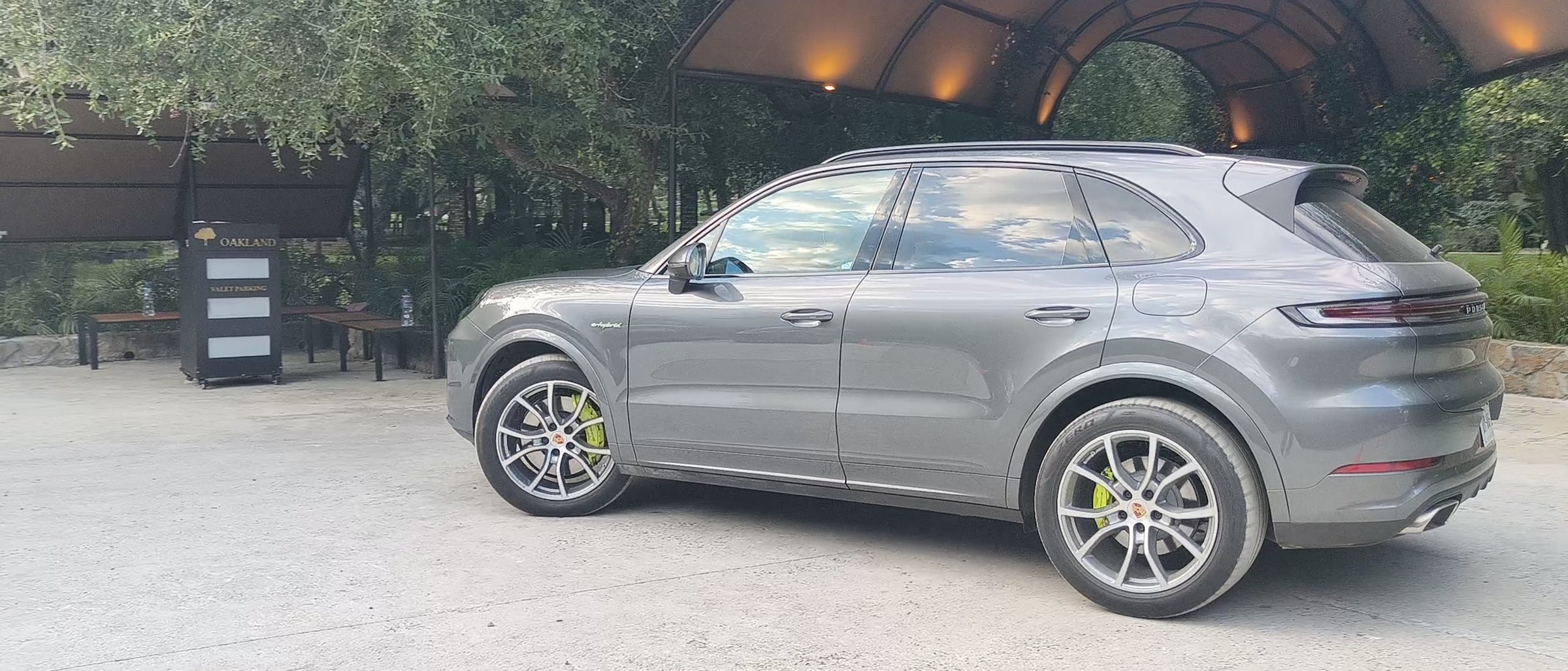 Servicio profesional